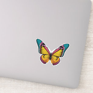 Beautiful Multicolored Butterfly