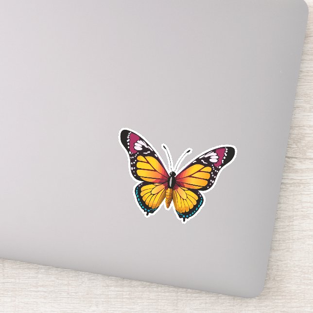 Beautiful Multicolored Butterfly (Detail)