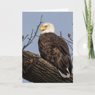 Beautiful Mum (Eagle) Card