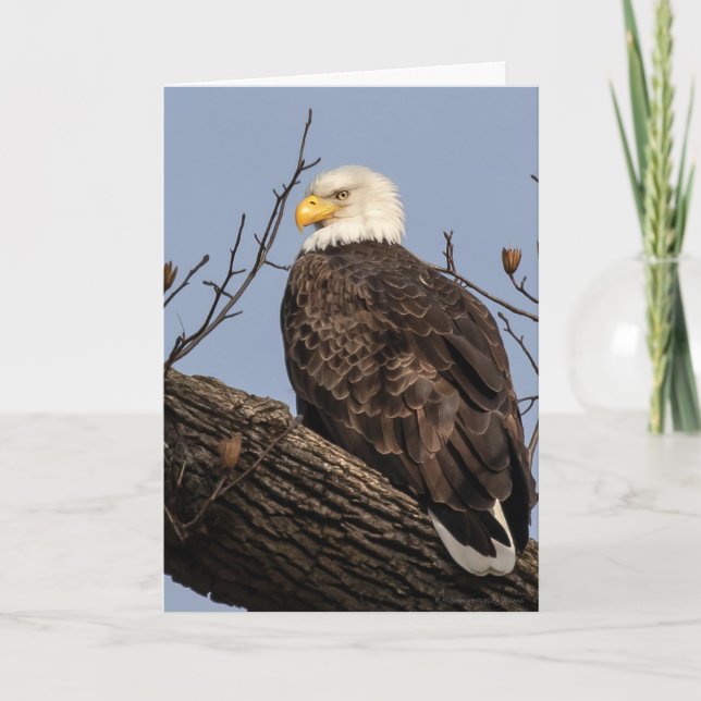 Beautiful Mum (Eagle)   Card (Front)