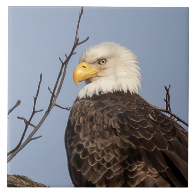 Beautiful Mum (Eagle) Ceramic Tile (Front)