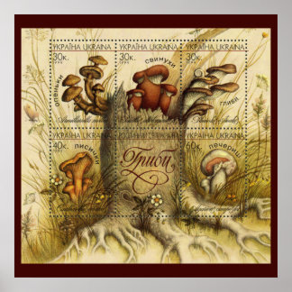 Beautiful Mushroom Stamps ~ Toadstool Ukraine 1999 Poster