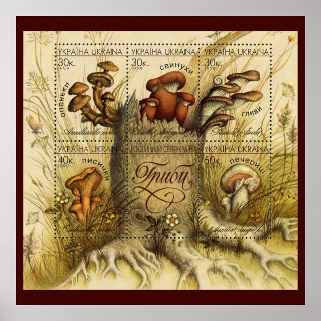 Beautiful Mushroom Stamps ~ Toadstool Ukraine 1999 Poster (Front)