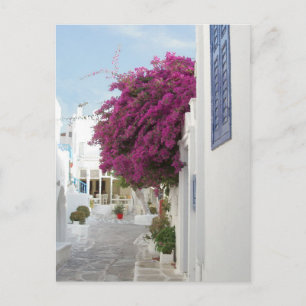 Beautiful Mykonos Postcard