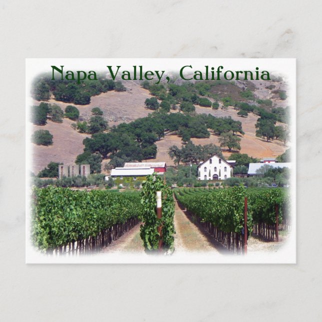 Beautiful Napa Valley Postcard! Postcard (Front)