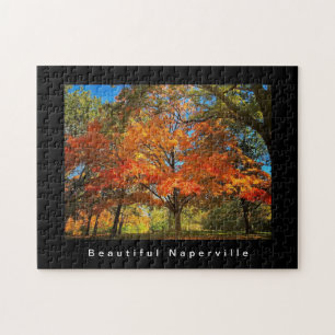 Beautiful Naperville - Autumn Leaves Jigsaw Puzzle