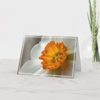 Beautiful Narcissus Bloom Macro Card