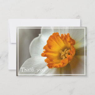 Beautiful Narcissus Bloom Macro Thank You Card