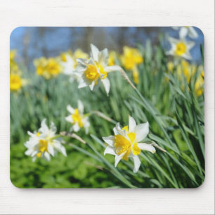 beautiful narcissus mouse mat
