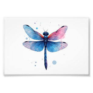Beautiful Nature Colourful Graphic Pattern Dragonf Photo Print