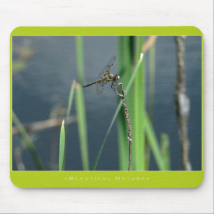 Beautiful Nature: Dragonfly Mouse Mat