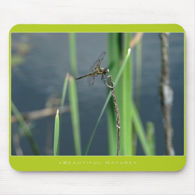 Beautiful Nature: Dragonfly Mouse Mat (Front)