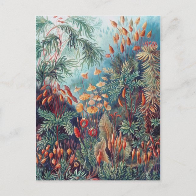 Beautiful Nature - Mosses Postcard (Front)