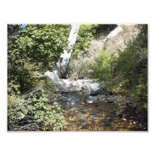 Beautiful Nature Scene Photo Print