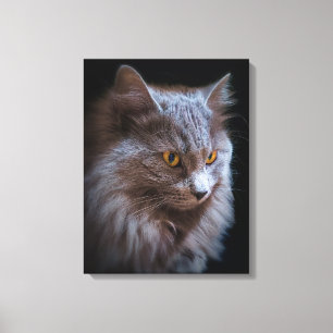 Beautiful Nebelung Cat Long Hair Russian Blue Gray Canvas Print