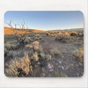 Beautiful Nevada Desert Mouse Mat