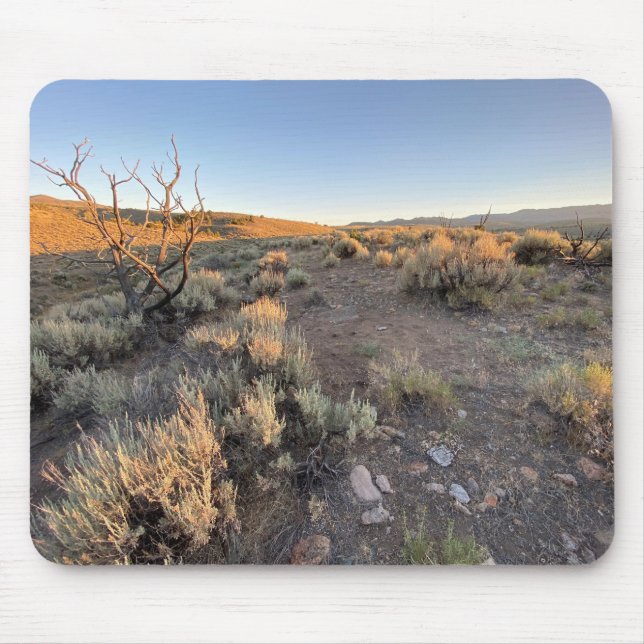 Beautiful Nevada Desert Mouse Mat (Front)