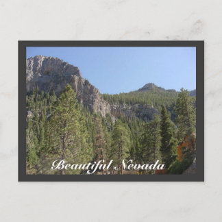 Beautiful Nevada Postcard
