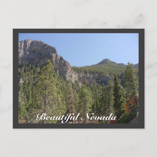 Beautiful Nevada Postcard (Front)