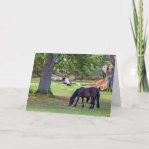 Beautiful  New Forest Pony - Greeting Card