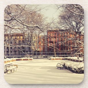Beautiful New York Winter Coaster