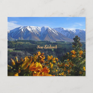 Beautiful New Zealand Postcard