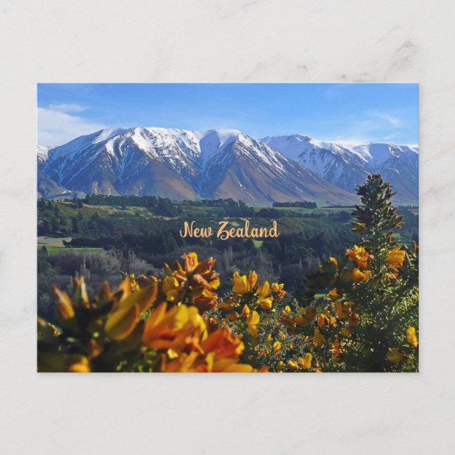 Beautiful New Zealand Postcard (Front)