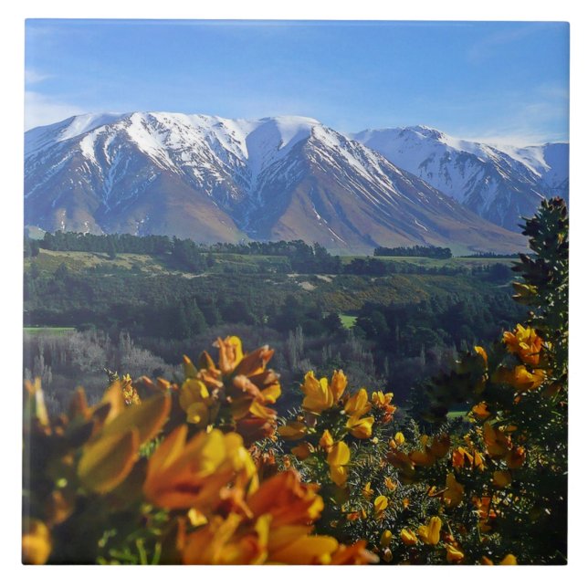 Beautiful New Zealand Tile (Front)