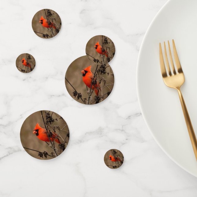 Beautiful Northern Cardinal  Confetti (Group)