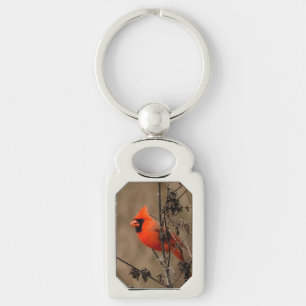 Beautiful Northern Cardinal Key Ring