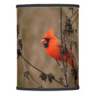 Beautiful Northern Cardinal