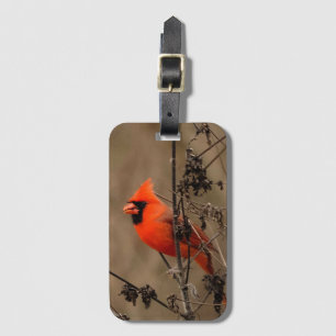 Beautiful Northern Cardinal Luggage Tag