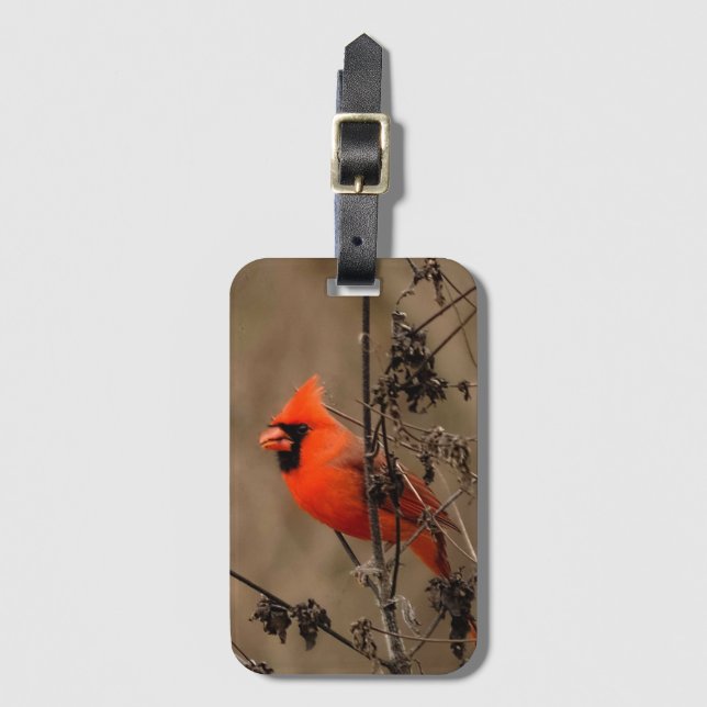 Beautiful Northern Cardinal  Luggage Tag (Front Vertical)