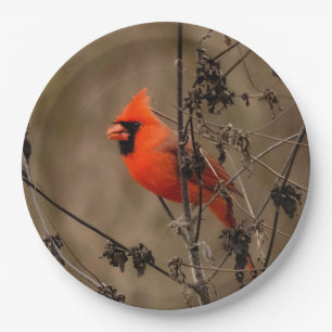 Beautiful Northern Cardinal  Paper Plate