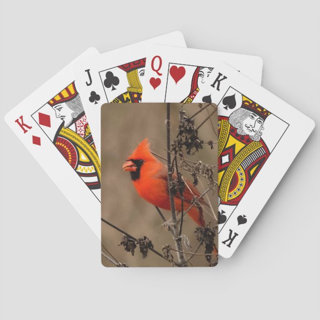 Beautiful Northern Cardinal Personal Playing Cards (Back)