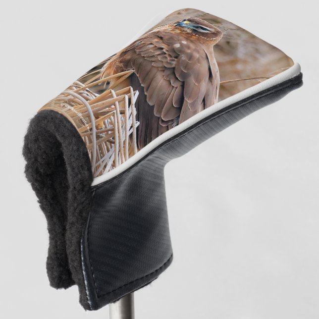 Beautiful Northern Harrier Hawk in the Marshes Golf Head Cover (3/4 Front)