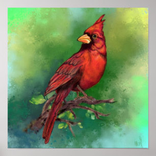 Beautiful Northern Red Cardinal Bird Painting Art  Poster