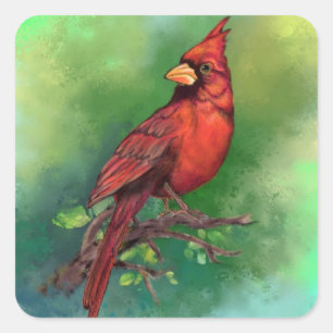 Beautiful Northern Red Cardinal Bird Painting Art Square Sticker
