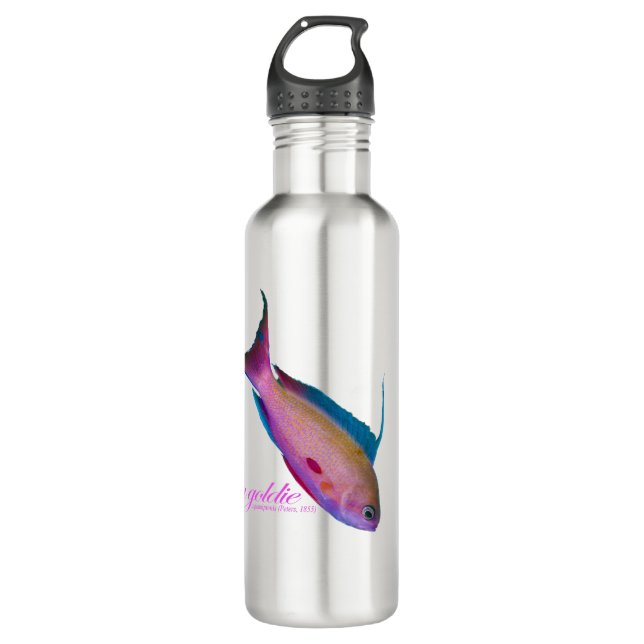 Beautiful nuptial colouring for the Sea goldy 710 Ml Water Bottle (Front)