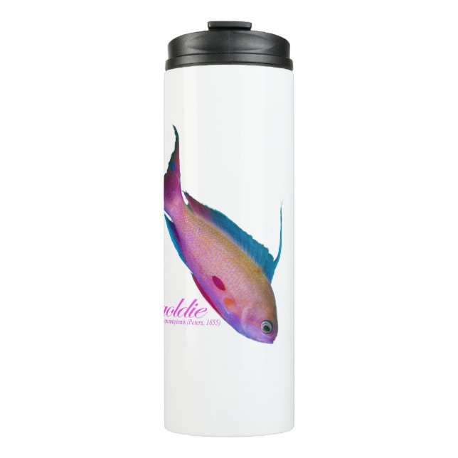 Beautiful nuptial colouring for the Sea goldy Thermal Tumbler (Front)