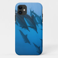 Beautiful Ocean Creatures