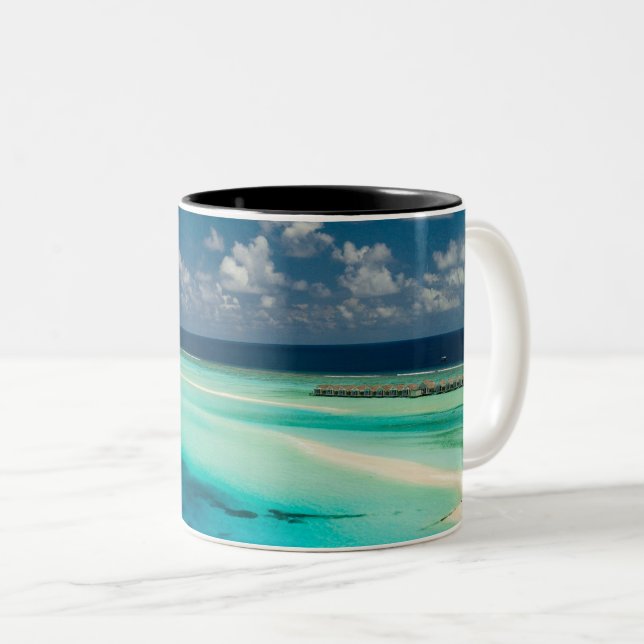 Beautiful Ocean Creatures Two-Tone Coffee Mug (Front Right)