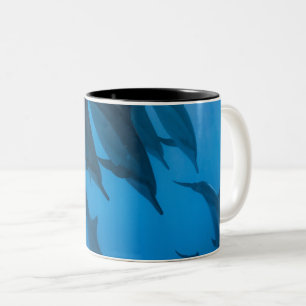 Beautiful Ocean Creatures Two-Tone Coffee Mug