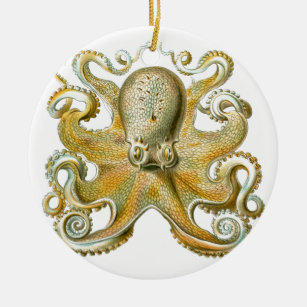 Beautiful octopus picture by Haeckel Ceramic Tree Decoration