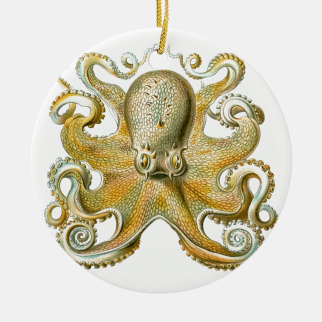 Beautiful octopus picture by Haeckel Ceramic Tree Decoration (Front)