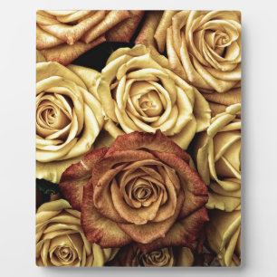 Beautiful Old Roses Plaque