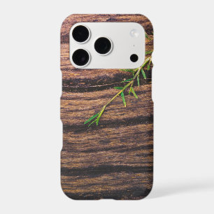 beautiful old wood