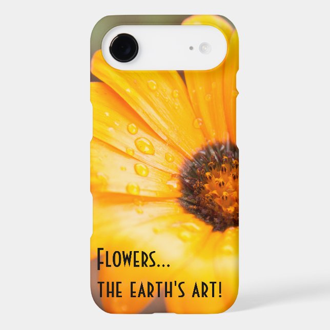 Beautiful Orange African Daisy Photograph Custom  (Back)