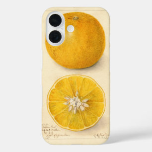 Beautiful Orange Artwork iPhone 16 Case