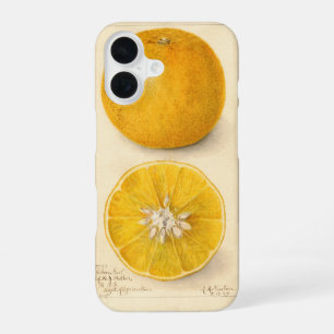 Beautiful Orange Artwork iPhone 16 Case